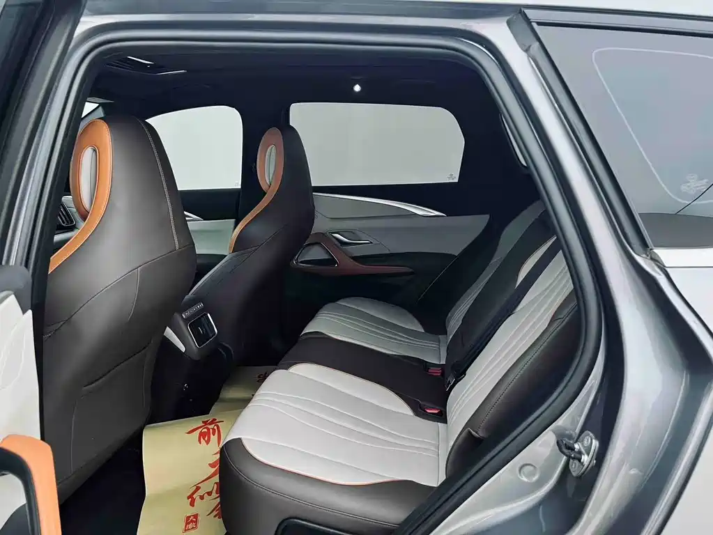 BYD Pro New Energy 2023 — фото 6