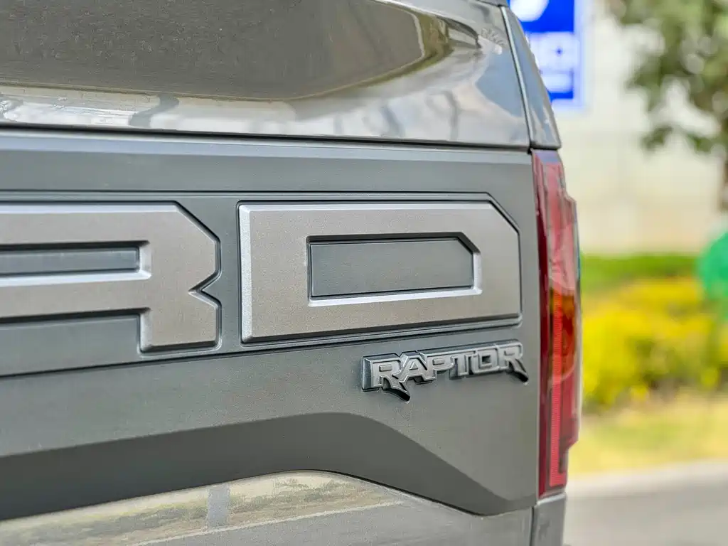 Ford F-150 Raptor 2020 — фото 16