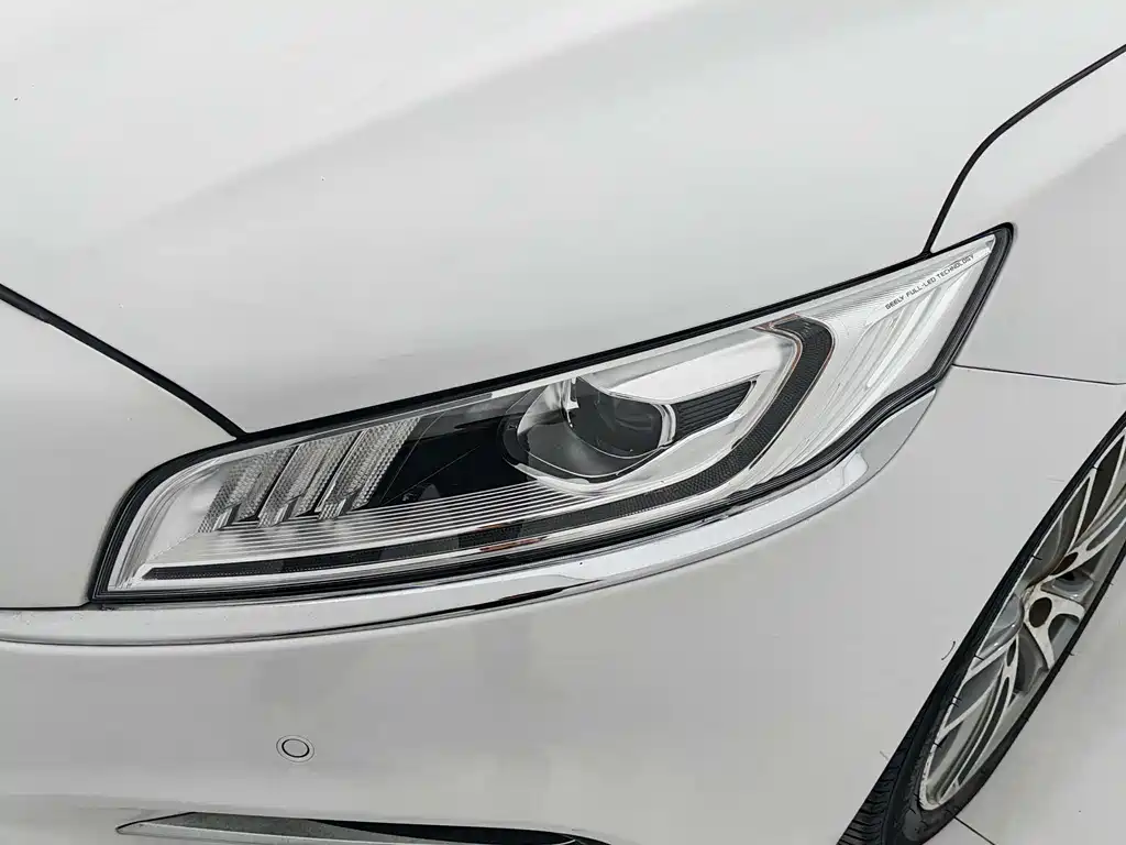 Geely Borui 2020 — фото 11