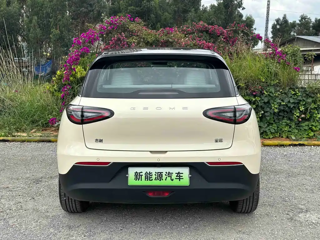 Geely Galaxy Starwish 2024 — фото 8