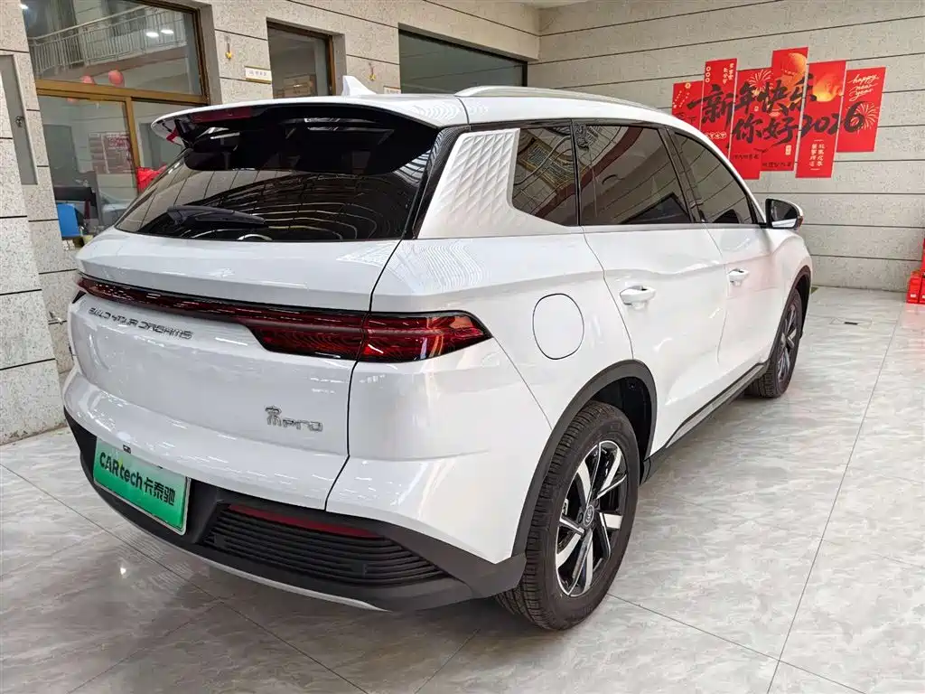 BYD Pro New Energy 2024 — фото 5