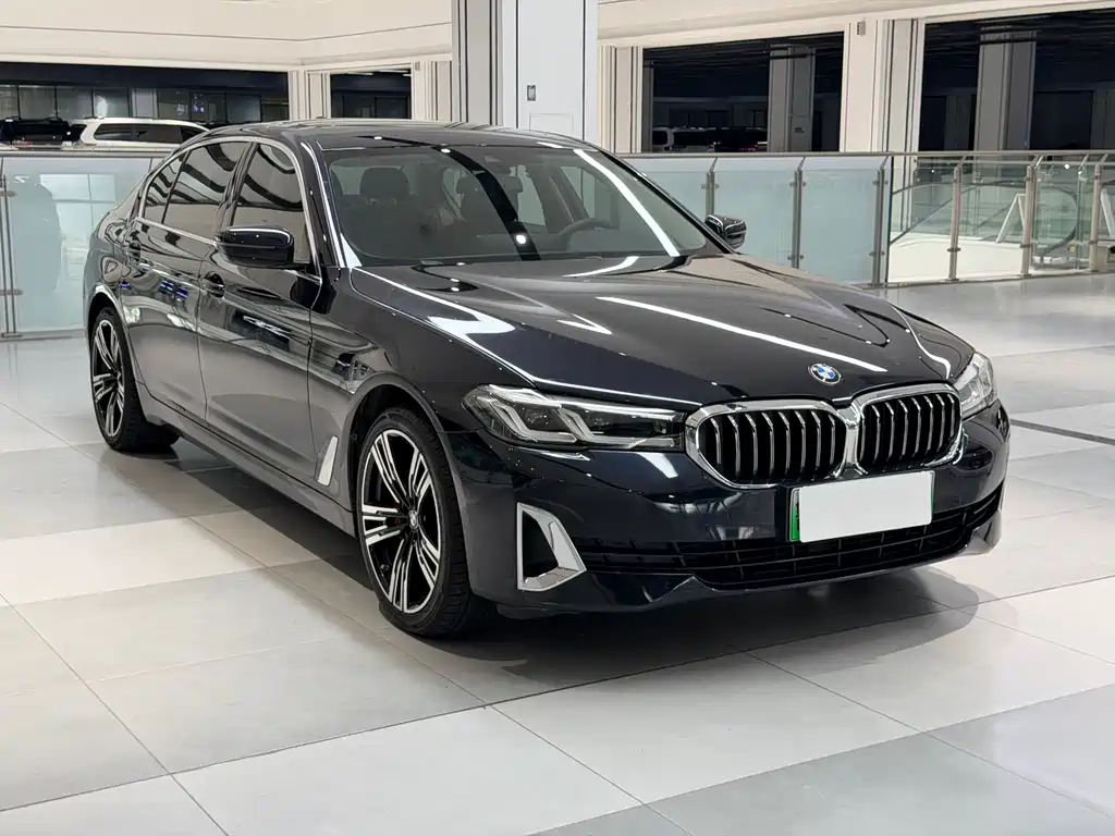 BMW 5 Series New Energy 2021