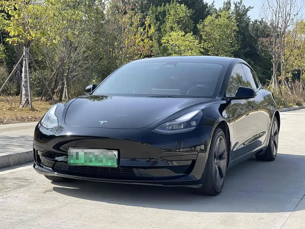 Tesla Model 3 2021 — фото 1