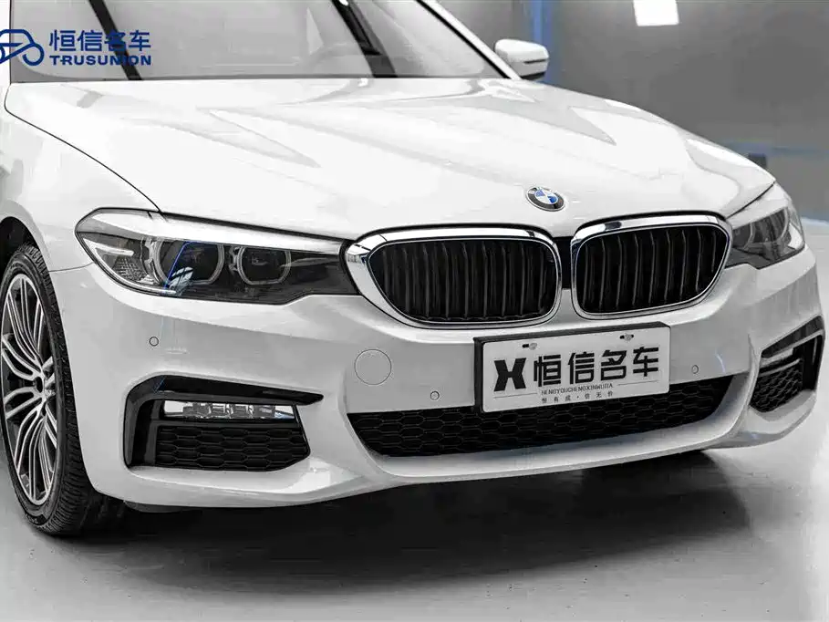 BMW 5 Series 2019 — фото 9