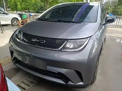 BYD Dolphin 2024