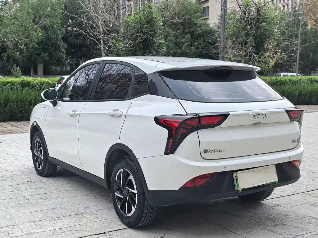 Neta V 2020