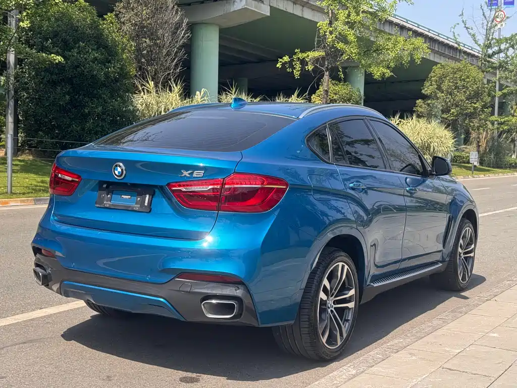 BMW X6 2019 — фото 4