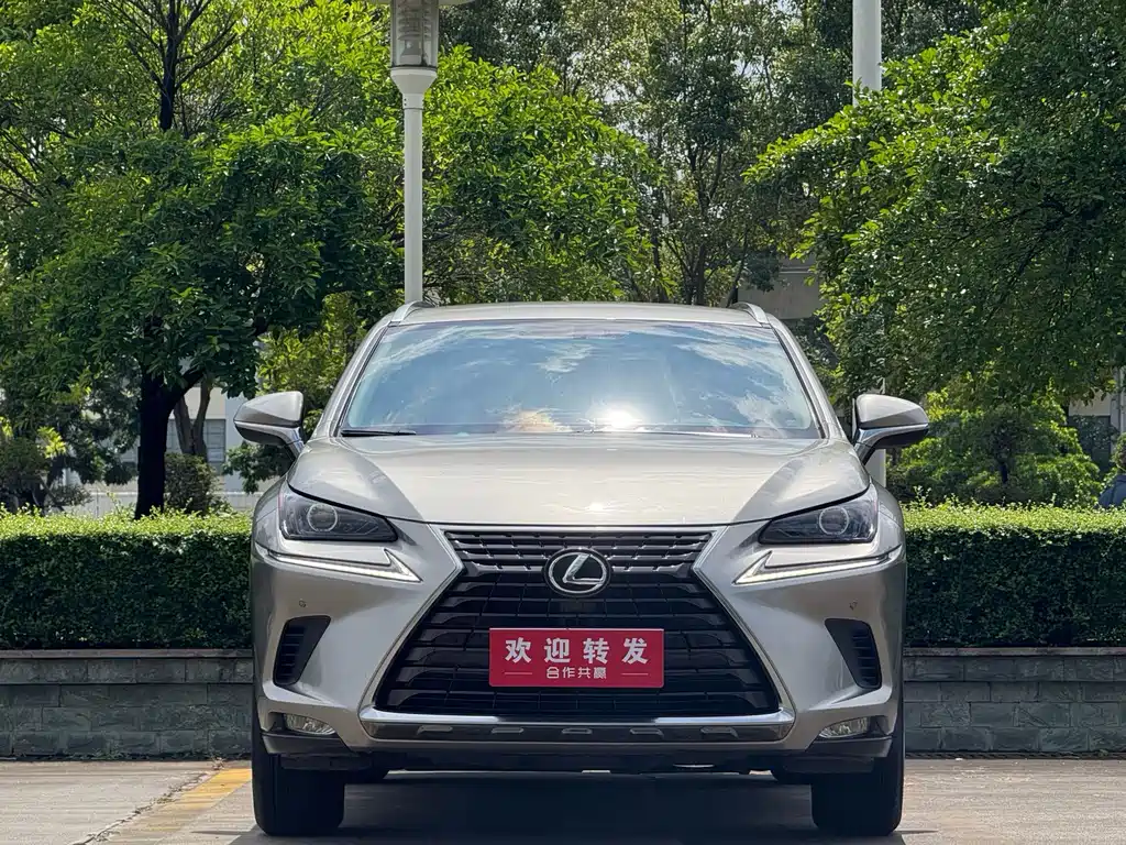 Lexus NX 2021 — фото 2