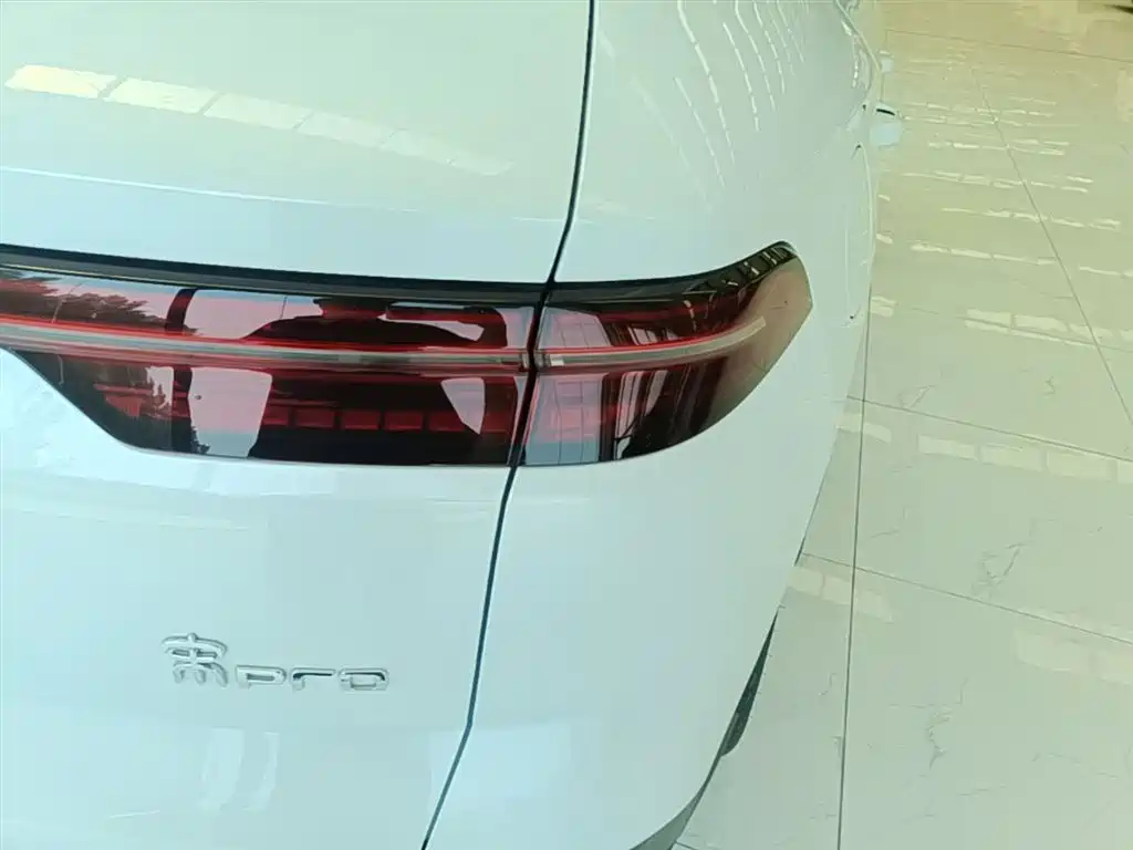 BYD Pro New Energy 2024 — фото 8