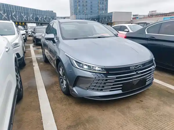 BYD Destroyer 05 2024