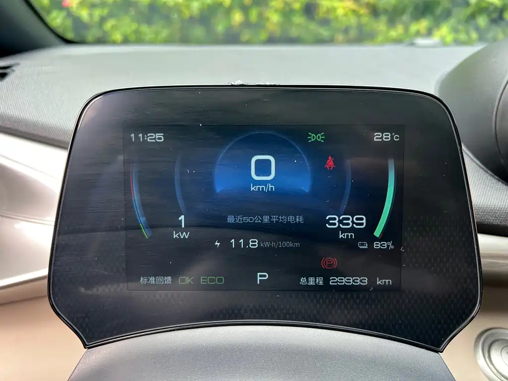 BYD Dolphin 2022