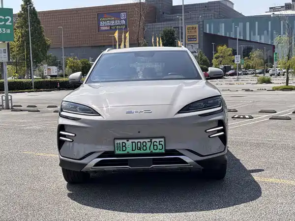 BYD Song PLUS New Energy 2024