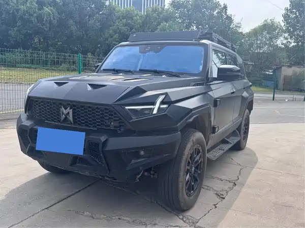 Mengshi 917 2024