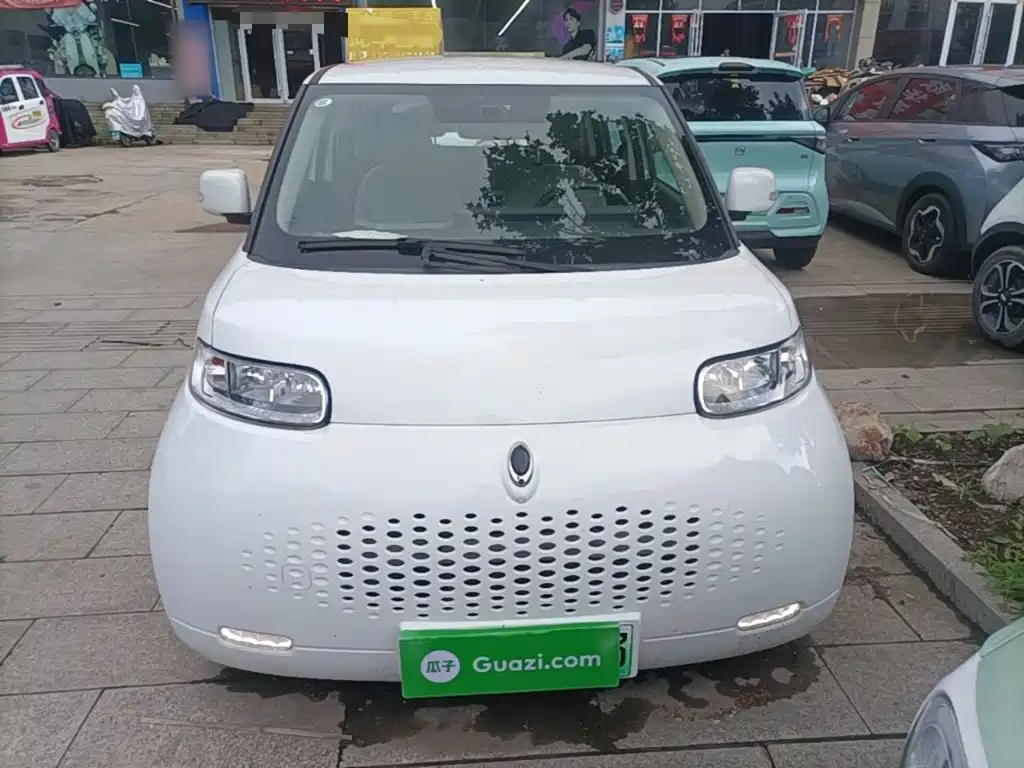 Ora White Cat 2020