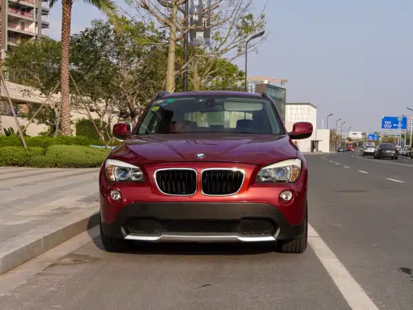 BMW X1 2010