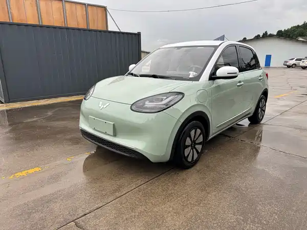 Wuling Bingo 2024