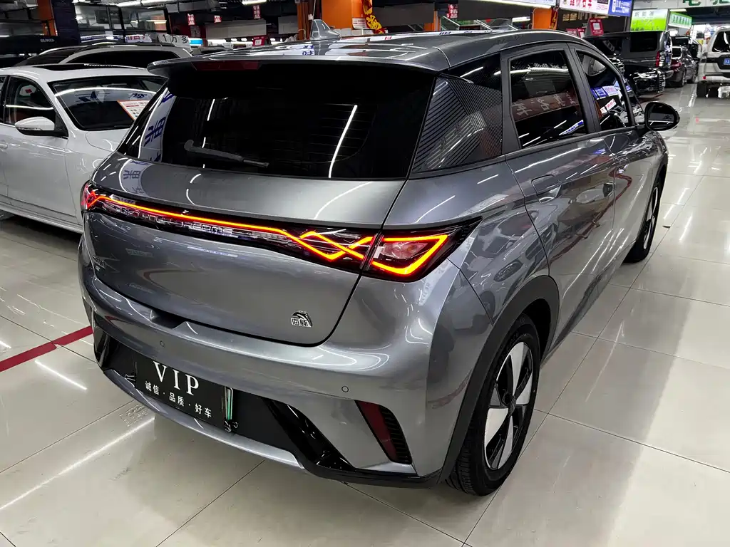 BYD Dolphin 2024