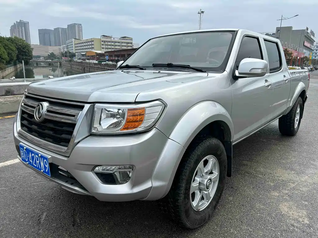 Dongfeng Ruiqi 2021