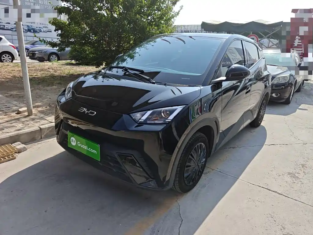 BYD Seagull 2024