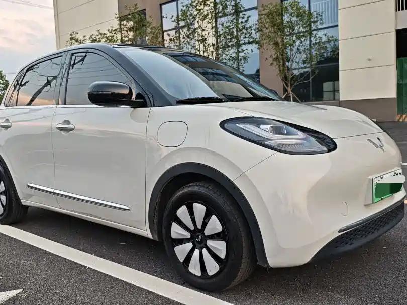 Wuling Bingo 2024