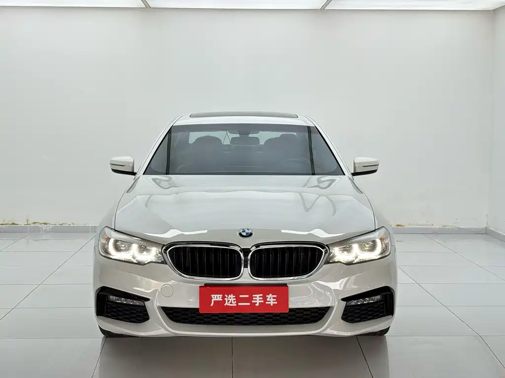 BMW 5 Series 2019