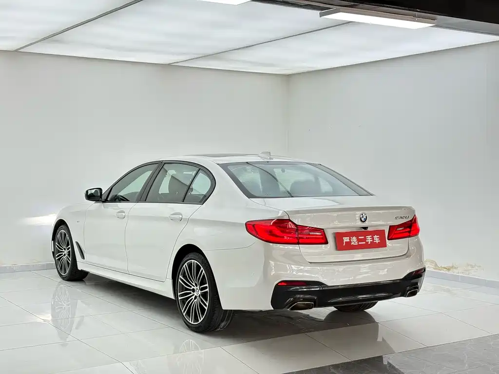 BMW 5 Series 2019 — фото 9