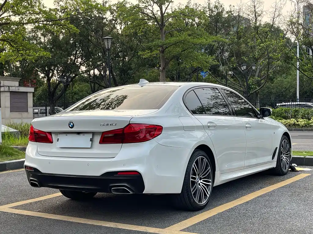 BMW 5 Series 2019 — фото 4