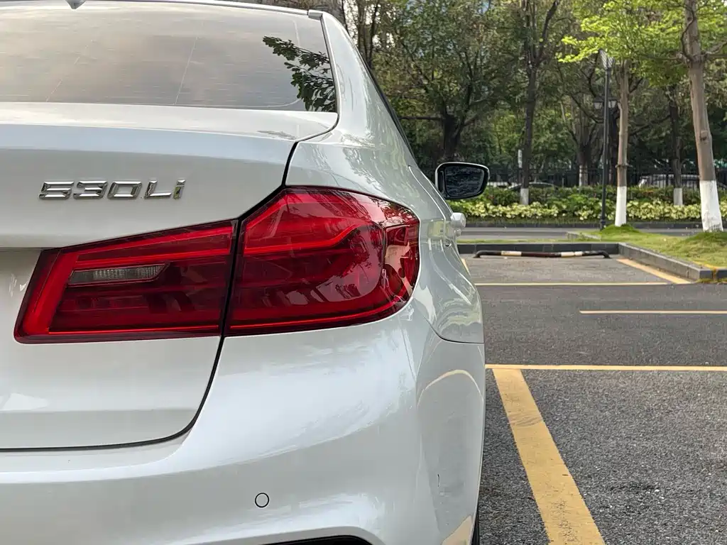 BMW 5 Series 2019 — фото 10