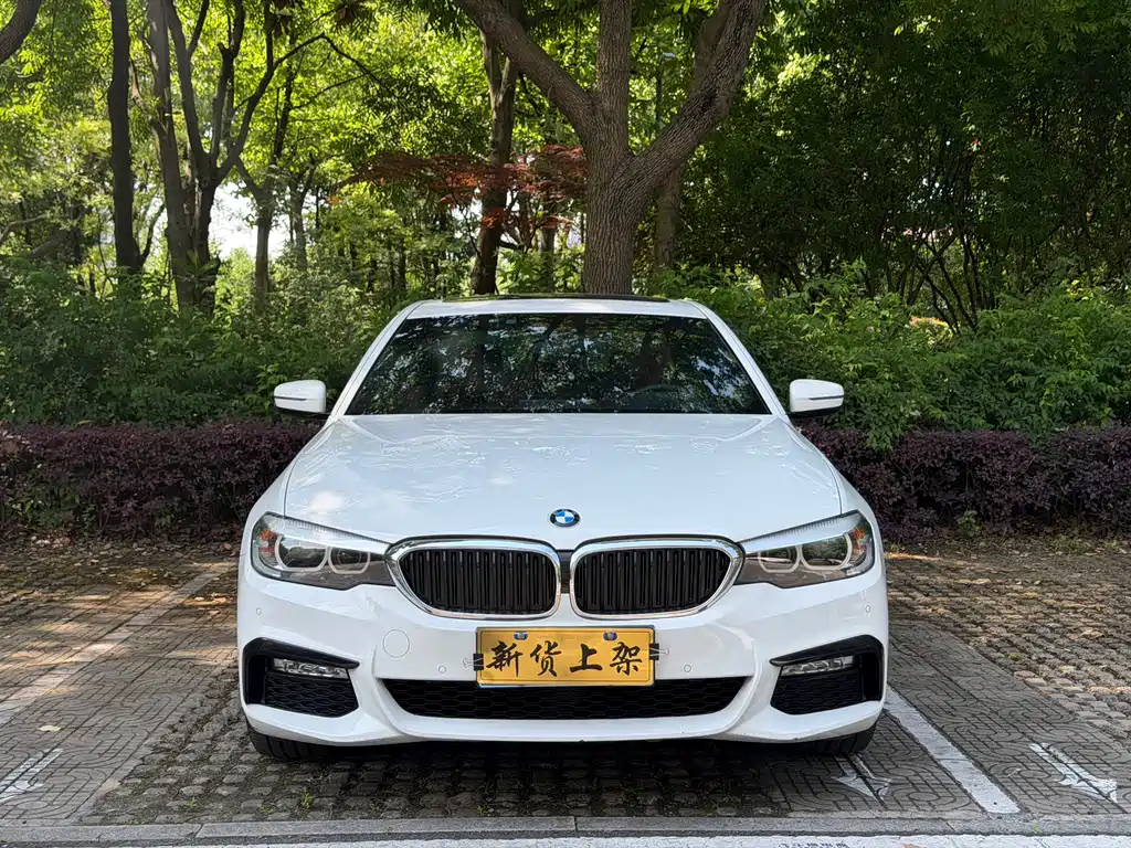 BMW 5 Series 2018 — фото 2
