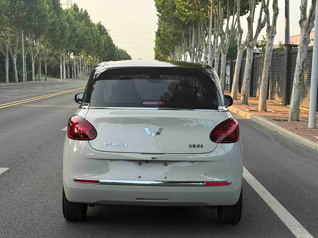 Wuling Bingo 2024