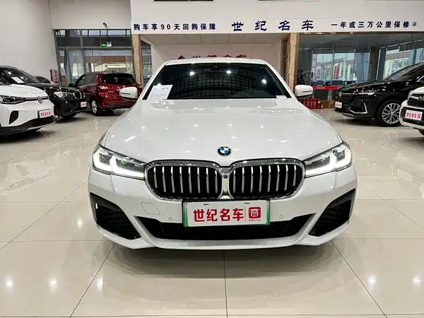 BMW 5 Series New Energy 2021