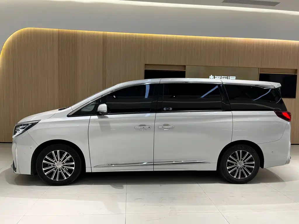 GAC Motor Trumpchi M8 2022 — фото 3