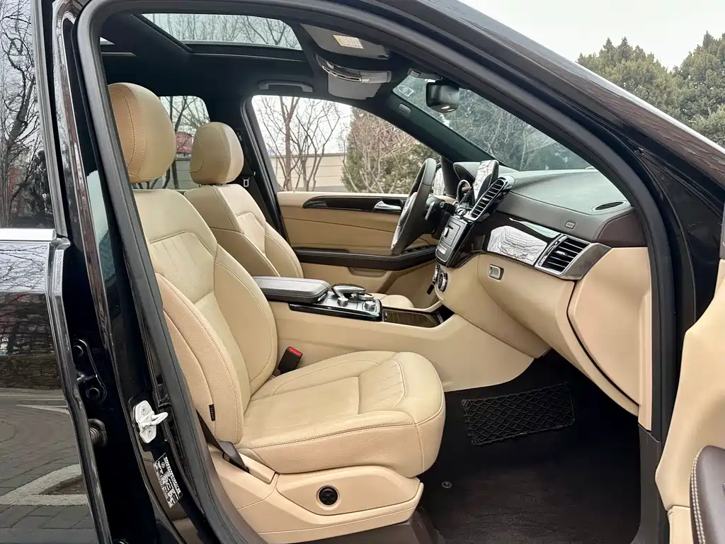 Mercedes-Benz GLS 2017 — фото 17