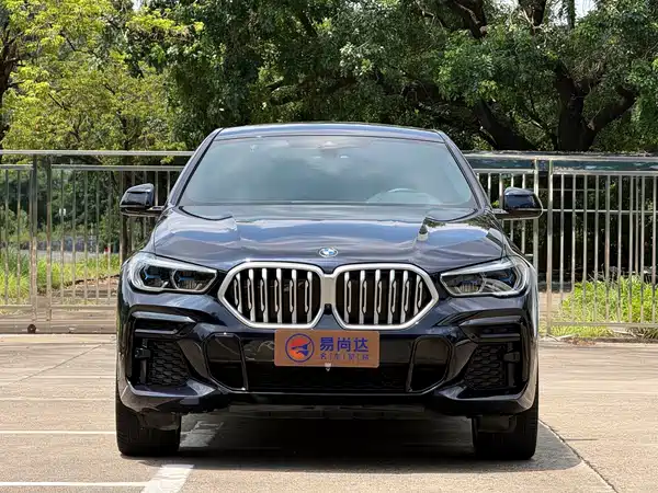 BMW X6 2022