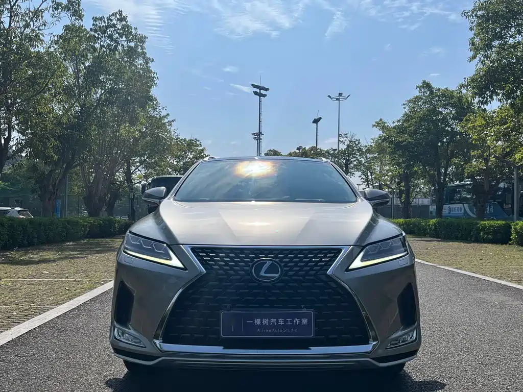 Lexus RX 2020 — фото 2