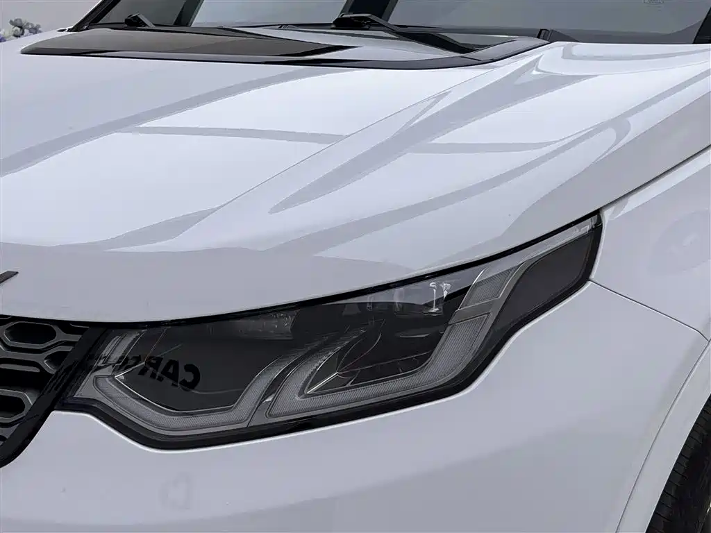 Land Rover Discovery Sport 2020 — фото 9