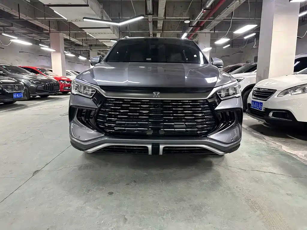 BYD Pro New Energy 2025 — фото 2