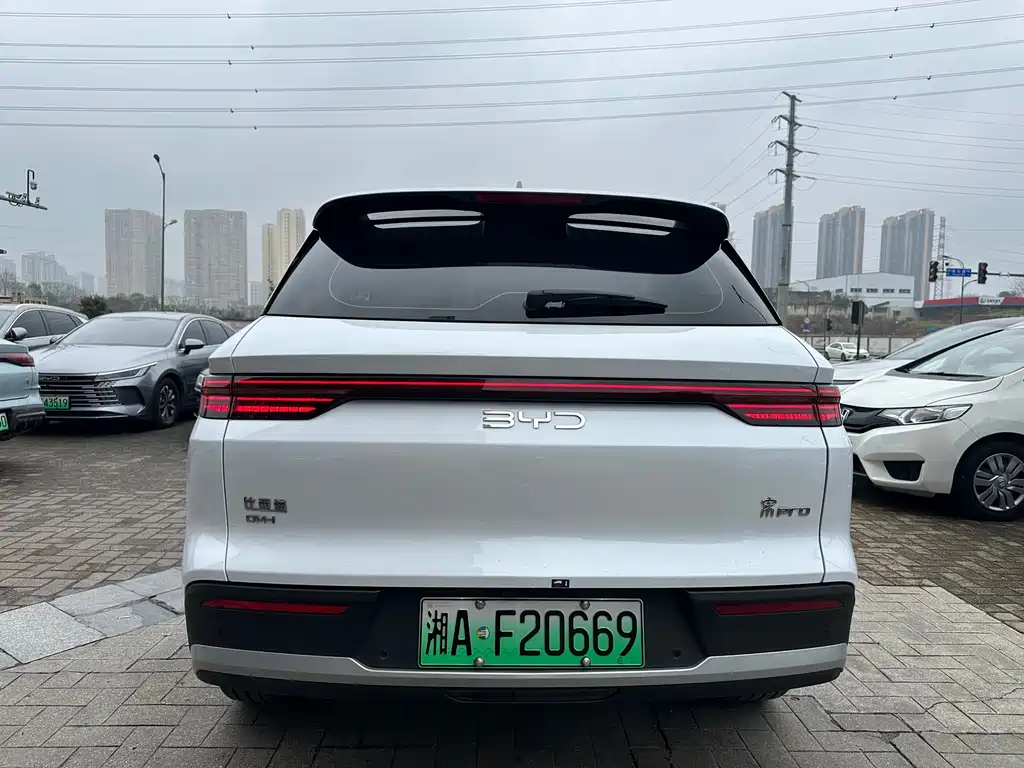 BYD Pro New Energy 2025 — фото 6