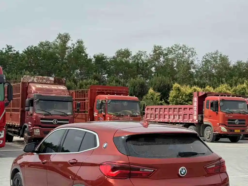 BMW X2 2020 — фото 10