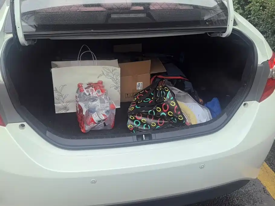 Toyota Levin 2015