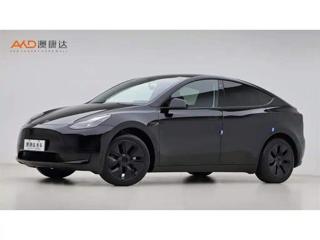 Tesla Model Y 2023 — фото 1
