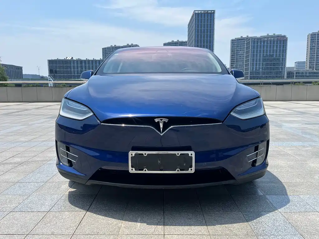 Tesla Model X 2017 — фото 5