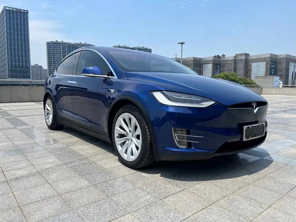 Tesla Model X 2017 — фото 4