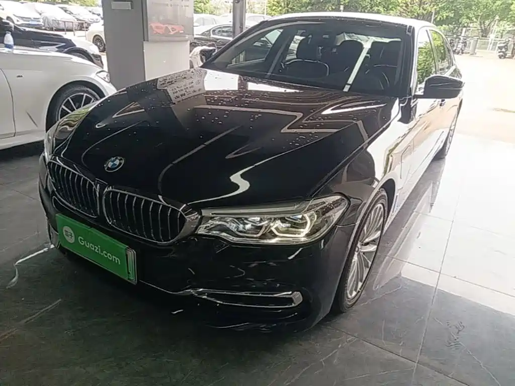 BMW 5 Series New Energy 2019