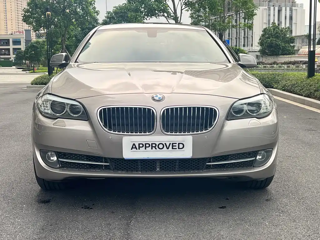 BMW 5 Series 2013 — фото 2