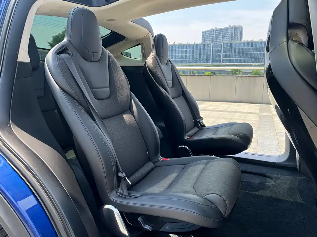 Tesla Model X 2017 — фото 14