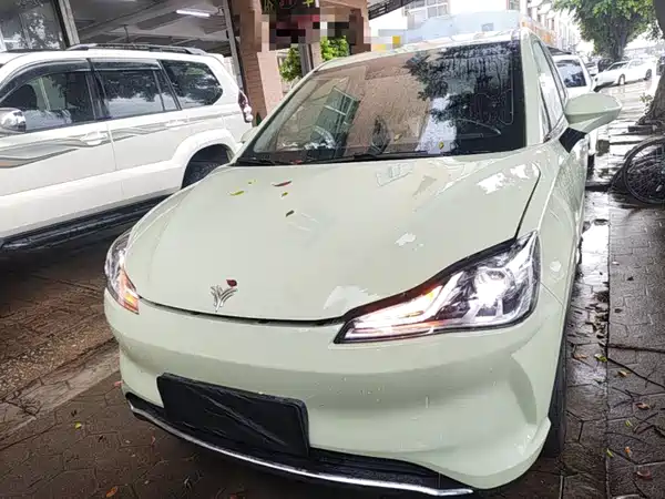 Neta V 2022