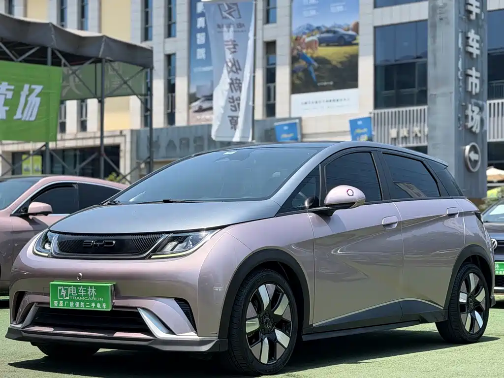 BYD Dolphin 2021