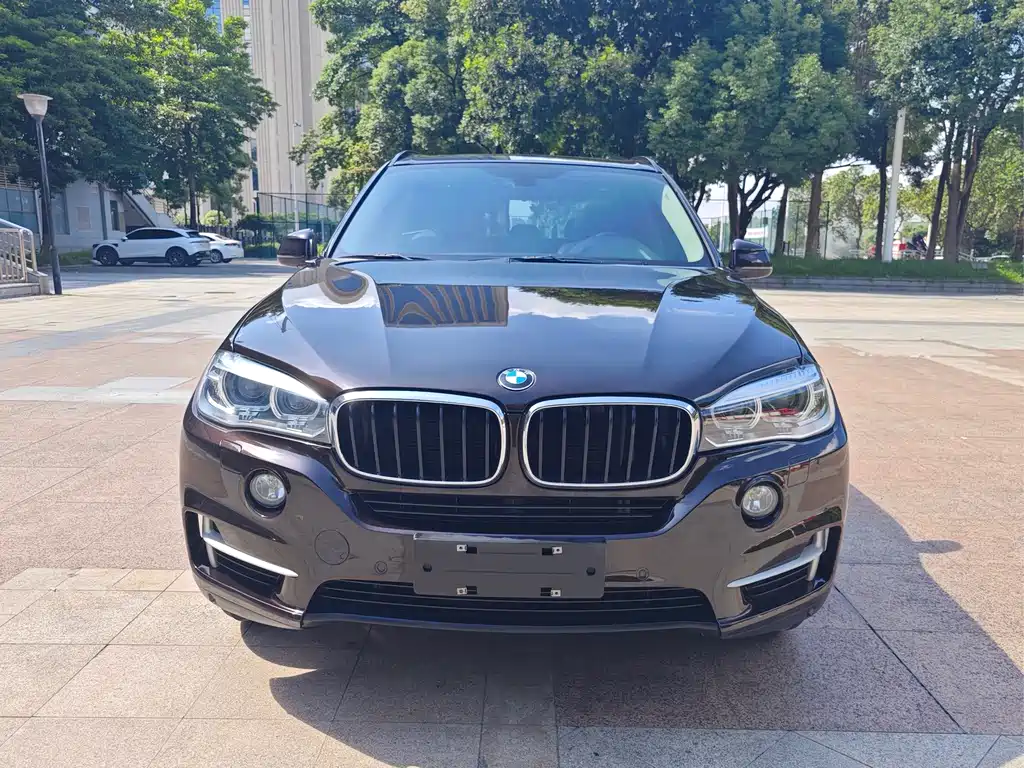 BMW X5 2016 — фото 2