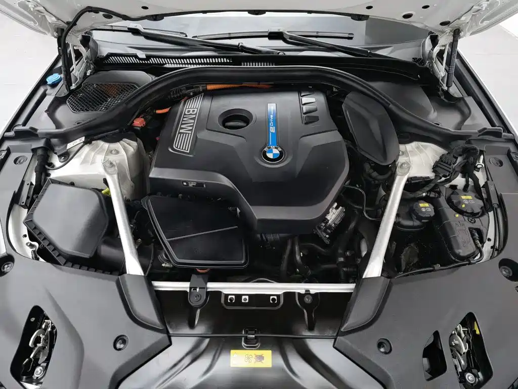 BMW 5 Series New Energy 2019